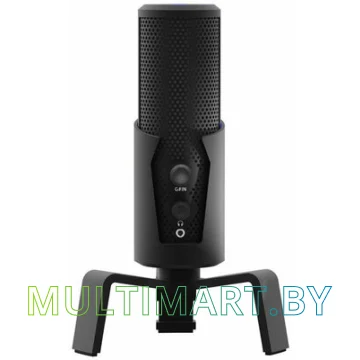 Микрофон Ritmix RDM-290 USB Eloquence картинка 3